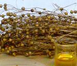 Flaxseeds 101: What Makes Them So Special?