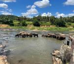 Sri Lanka: Paradiso For Travellers