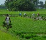 With 300 mn Indians in its fold, cooperative sector awaits big-bang reforms