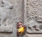 9 Temples In India Dedicated To Animals