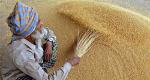 Will Centre succumb to pressure of rising prices and allow wheat import?