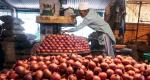 Ban on onion export lifted; MEP of $550/tonne imposed