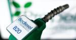 Hurdles in biofuel use: Few vehicles, weak ethanol-blended petrol rollout
