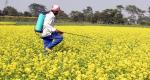 New govt may kick off pesticide, seed reforms