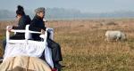 Assam probes fund misuse during Kovind's visit to Kaziranga