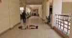 MP official suspended for 'insensitivity' after farmer 'rolls on floor'