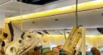 22 Singapore Airlines passengers suffered spinal injuries