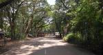 No tree felling in Mumbai's Aarey without our nod: SC