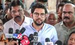 'Shamelessly, BCCI is sending a team to play Pakistan'