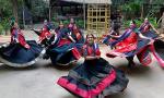Share Your Navratri, Durga Puja, Golu Celebration Pix!