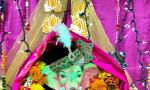Lights, Flowers For Lord Ganesha