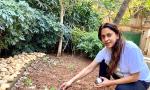 MumbaiU: Learn Astronomy, Drama, Gardening