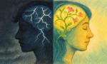 How Sexual Assault Impacts A Woman's Brain