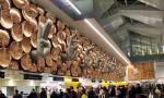 Rs 48 Crore Hydroponic Weed Seized At Delhi Airport
