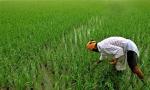 West Bengal BJP Promises Investors A Fearless Environment