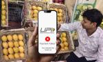 UPI payments hit by technical glitches, NPCI says systems working fine