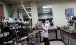 Piramal Pharma looks to return on growth path