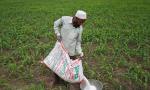 Govt's fertiliser subsidy bill may rise by Rs 70K cr in FY27