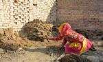 Family places dead man in cow dung hoping for revival