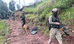 BSF foils infiltration in J-K's Kathua, guns down Pak intruder