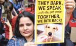 Key takeaways from SC's modified order on stray dogs