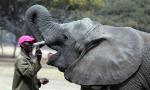 Caring for Kadiki