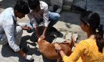 Chennai cop's remarks on woman feeding stray dogs sparks uproar