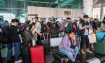 IndiGo chaos: Govt's big order to airlines amid fare surge