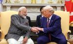 'US should bring India tariffs to zero and apologise'