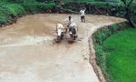 Odisha tribal couple forced to plough field for 'sinful' marriage