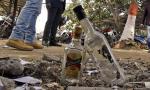 CAG slams Maharashtra excise dept for revenue lapses