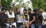 Bihar SIR: Another dog 'applies' for residence proof