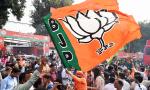 BJP, ally JD-U register vote share gains, RJD sees slight dip