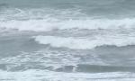 Three of a family drown, 4 missing in Maharashtra beach tragedy