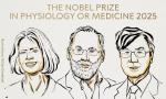 Trio shares Nobel Prize in medicine for findings in immune system