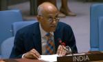India accuses Pakistan of 'systematic genocide' at UNSC
