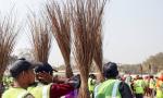Sacked civic workers in MP vow to leave 'Sanatan Dharma'