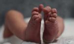 Indore hospital under fire as rats bite, kill two newborns