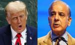 Trump meets Sharif, Munir for 1 hour; no press allowed