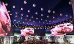 896 Balls, One GOAT: Inside Kolkata's Messi Fan Zone