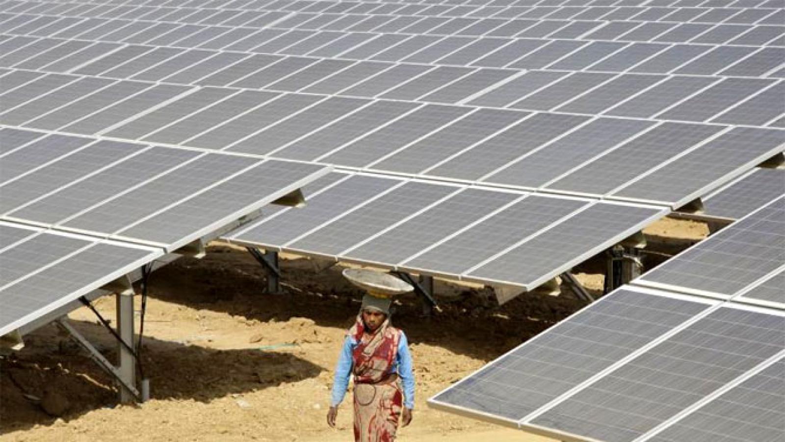 rediff.com - Text Feed - Eco-Friendly Solar Cell: Flower Dye As Sustainable Energy Source