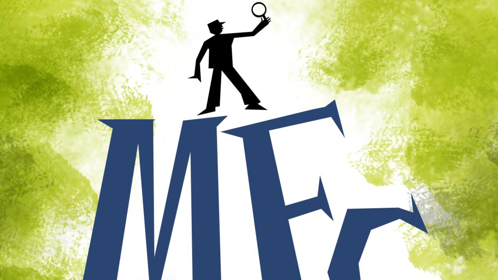 rediff.com - Shilpi Pandey - Retail rush, SIPs drive Rs 14 lakh cr jump in mutual fund assets in 2025