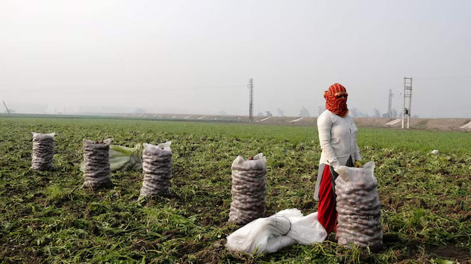 rediff.com - Ruchika Chitravanshi - GST 2.0 bolstered momentum, economy on stable footing