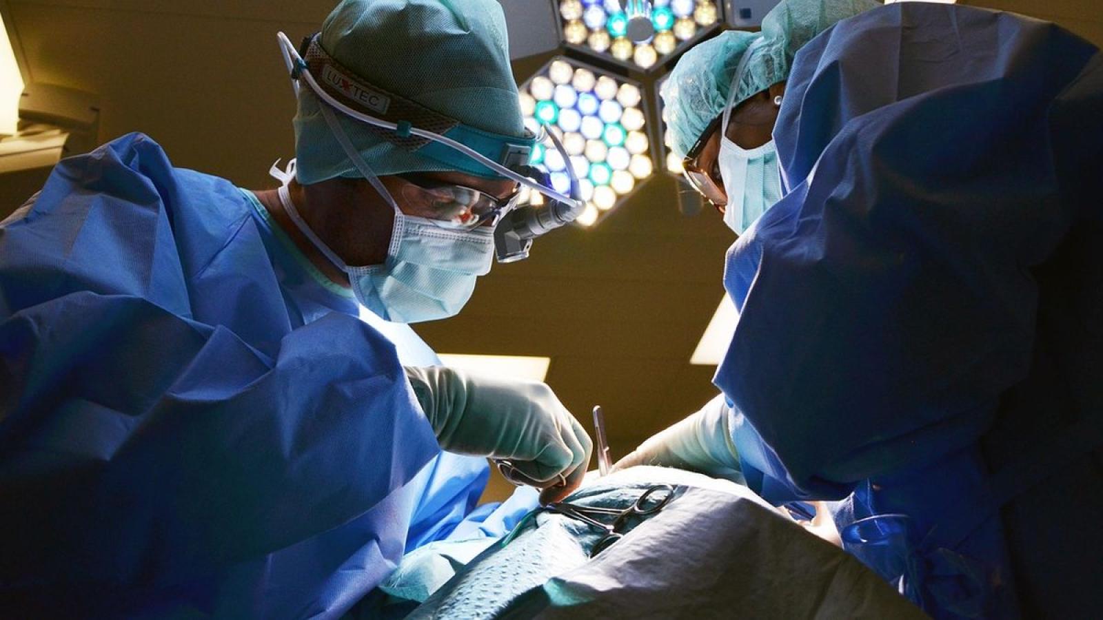 Father donates kidney to save social media influencer