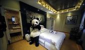 Images: World's first PANDA themed hotel in China!