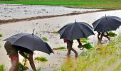 'Below-normal rains may not lead to a spike in inflation'