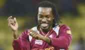 Chris Gayle is world's best T20 cricketer: Shane Watson