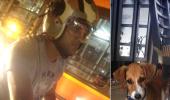 Dhoni's love for dogs continues as he adopts another pup