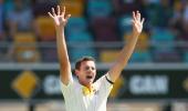 Home highs for Hazlewood, Haddin