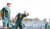 Feast for fans of raw pace as Australia host South Africa